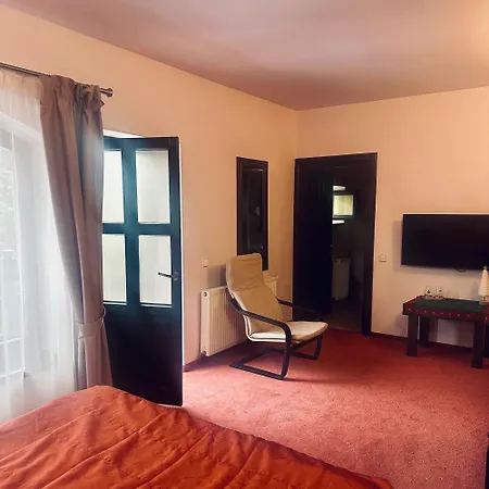 Pensiunea Casa Ancutei-3