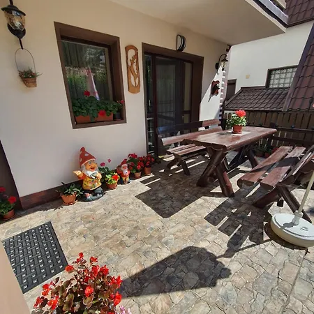 Casa Montana Busteni-2