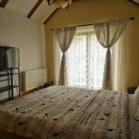 Vila Vladimir-3