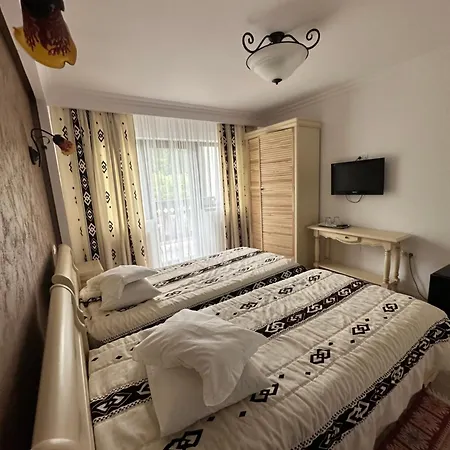 Pensiunea Casa Doamnei Voronet-2
