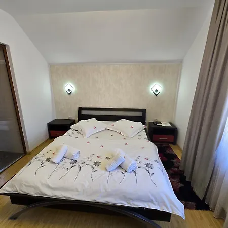 Casa cu Flori Moisei-3