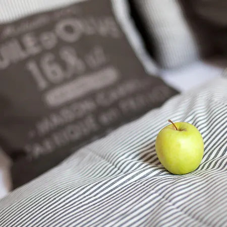 Camino Home-2
