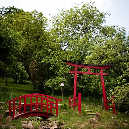 Casa Lily - Japanese Retreat-2
