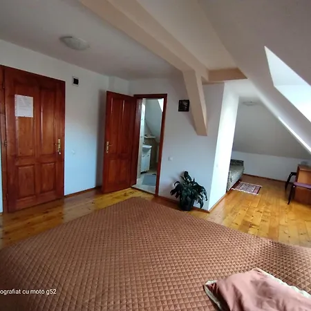 Casa Pleșca-3