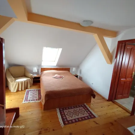 Casa Pleșca-2