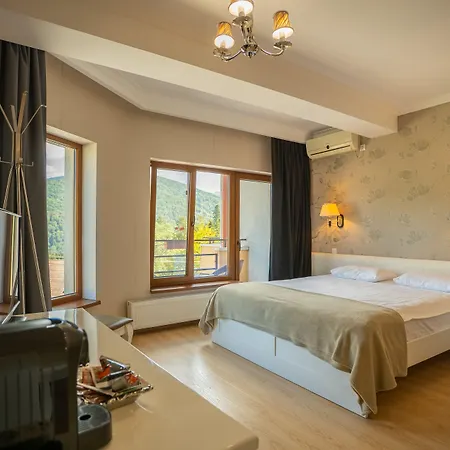 Opus View-3