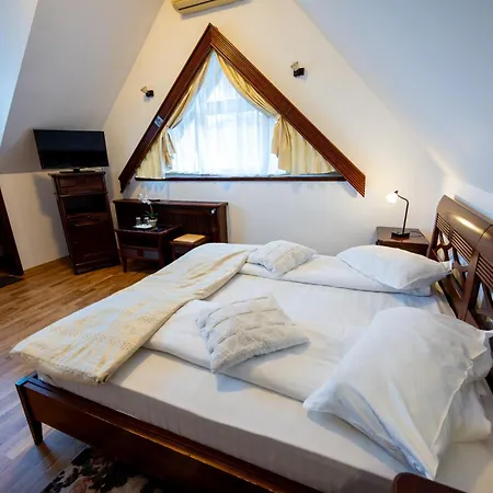 Pension Brasovu Vechi-3