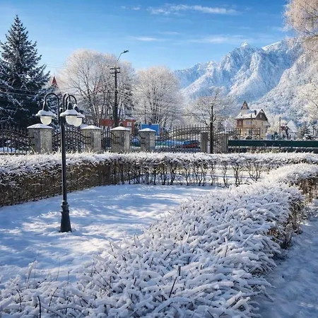 White Wood Chalet-2