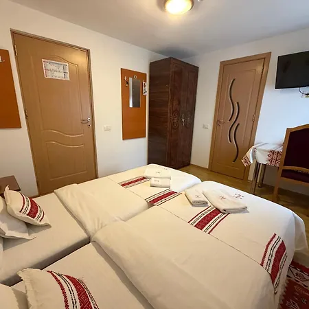 Casa Dacică-3