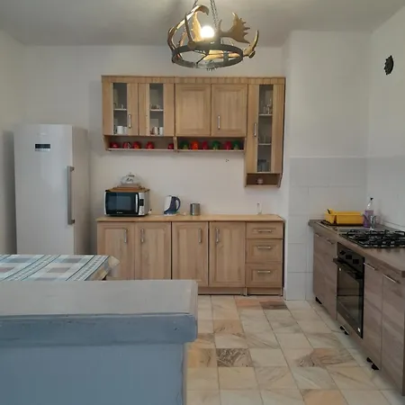 Vila Kira Buşteni-3