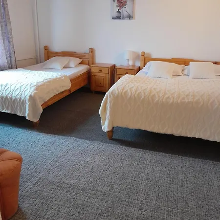 Vila Kira Buşteni-2