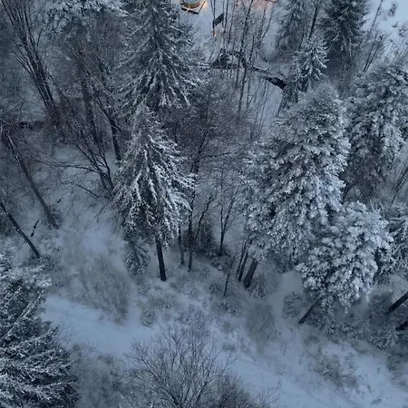 The Palo Cabins-3