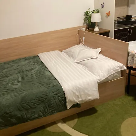 House Centrul Istoric-3