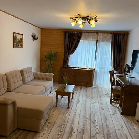 Casa Baciu-3