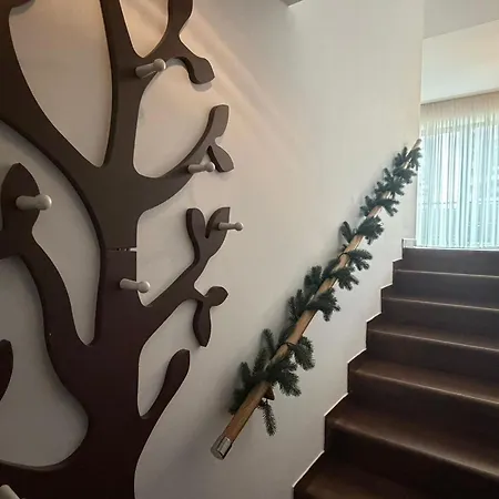 Apartment A36 Silver Mountain-2