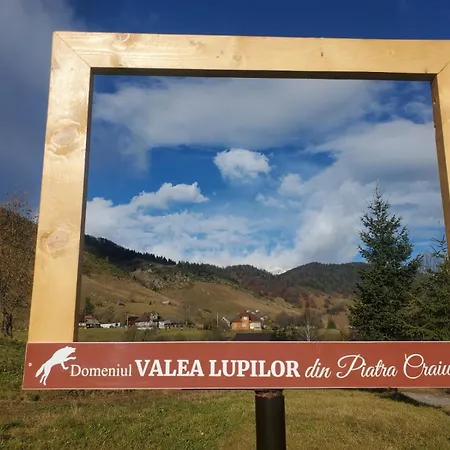 Domeniul Valea lupilor- Pensiunea Valea cu struti-2