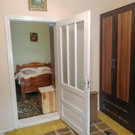 Casa Tudor-Nicolae-2