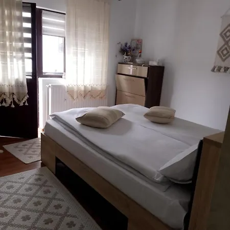 Casa Albert Sinaia-3