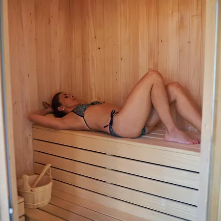 Chalet&Spa Maestrul si Margareta-2
