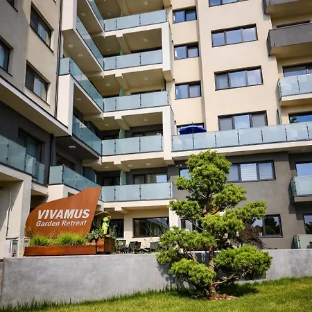 Vivamus Studio-2