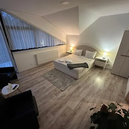 Vila Ema Râşnov-3