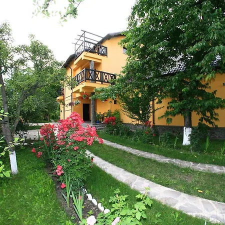 Pensiunea Elena-2