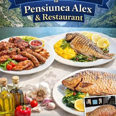 Pensiunea Alex&Restaurant-3