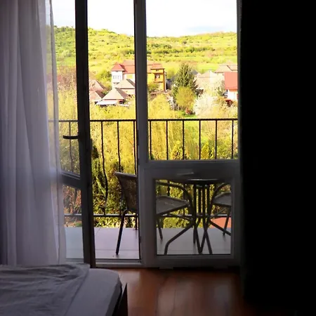 Daiana Residence Turda-2