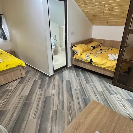 Cazare Vila Gog - Rm Valcea-Salina Ocnele Mari- Motorcycle-Friendly Accommodation-3