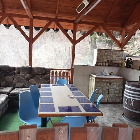 Casa Puiu-3