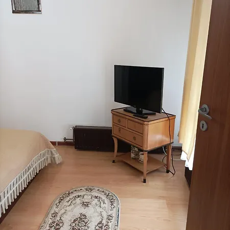 Casa Puiu-2