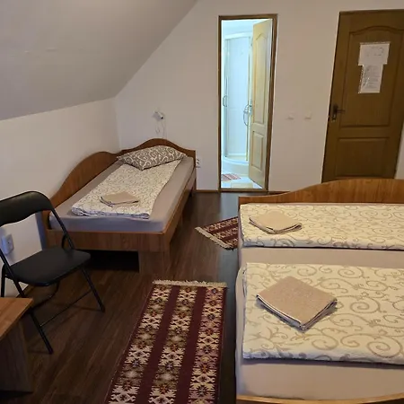 Casa Panorama Sovata-3