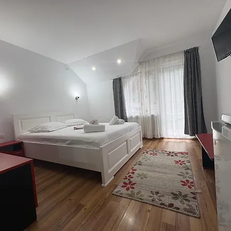 Casa Visescu-2