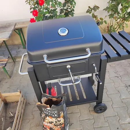 Chostello Ecomis Clasik-2