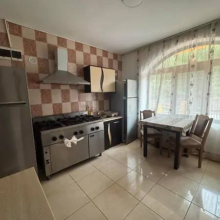 Casa Lupascu-2