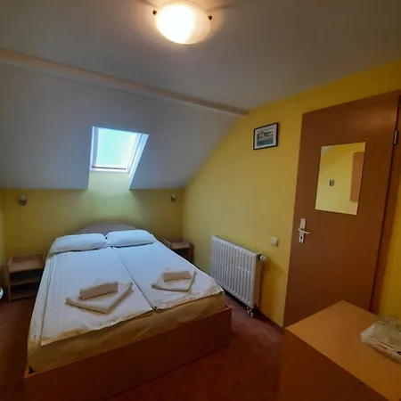Pensiunea Casa Vulkan-3