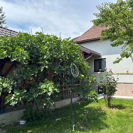 Casa Gia Calimanesti-3