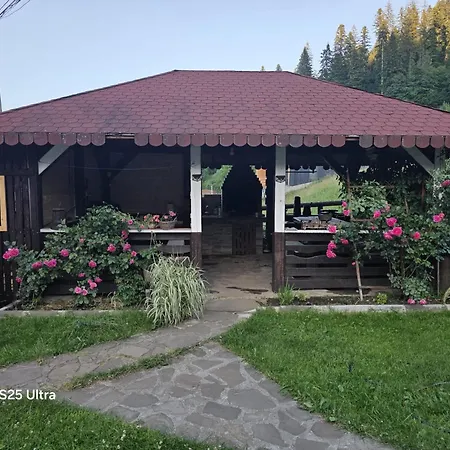 Pensiunea Daria Putna-2