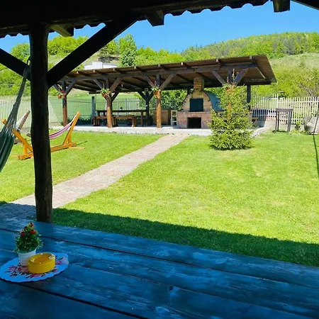Vila Ţara Haţegului-3