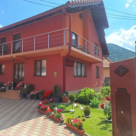 Vila Georgeta-3