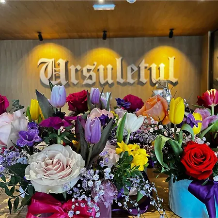 Hotel Ursuletul-2