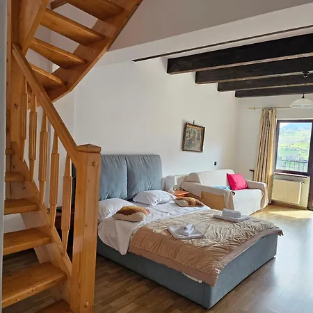Belvedere Chalet Bran-3