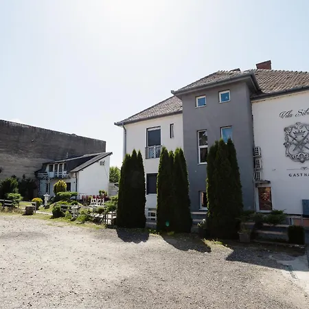 Vila Sibiu-3