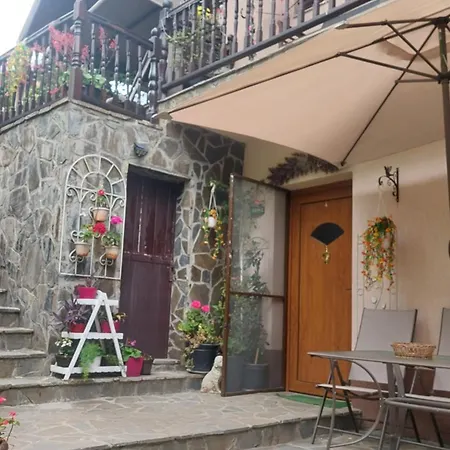Casa Rosca Busteni-3