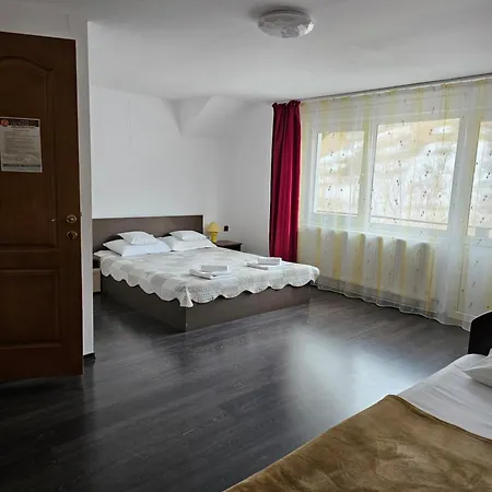 Pensiunea Casa Beatrice Bran-3