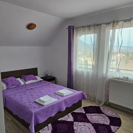 Pensiunea Casa Beatrice Bran-2
