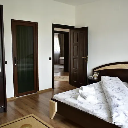 Pensiunea Casa Nușa-2