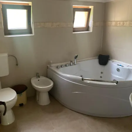 Vila Ianis Bran-3