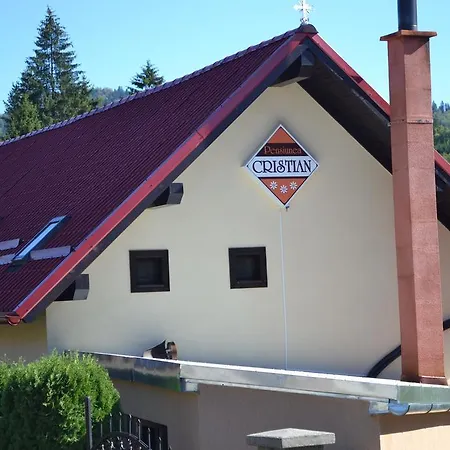 Pensiunea Cristian Covasna-2