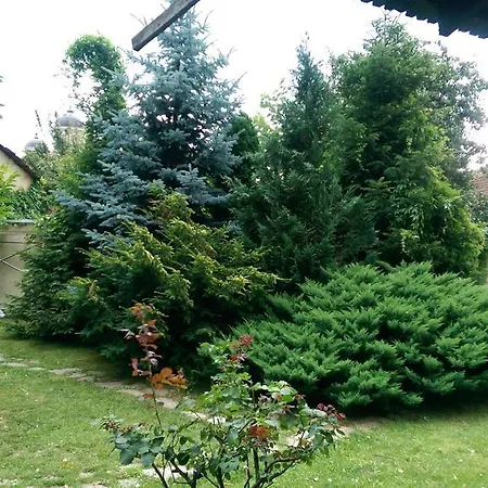 Pensiunea Eden Caransebes-2